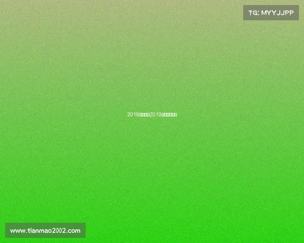 2019国安赛事2019赛季国安进球